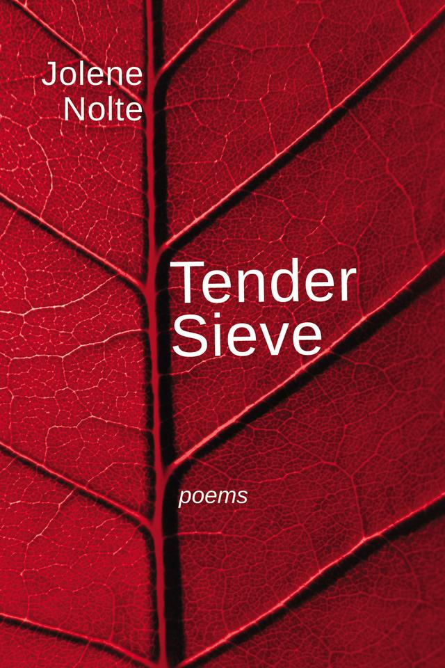 Tender Sieve by Jolene Nolte