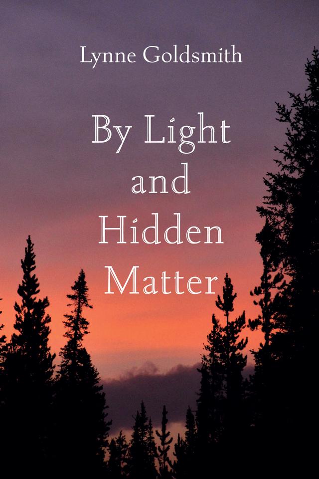 By Light and Hidden Matter by Lynne Goldsmith