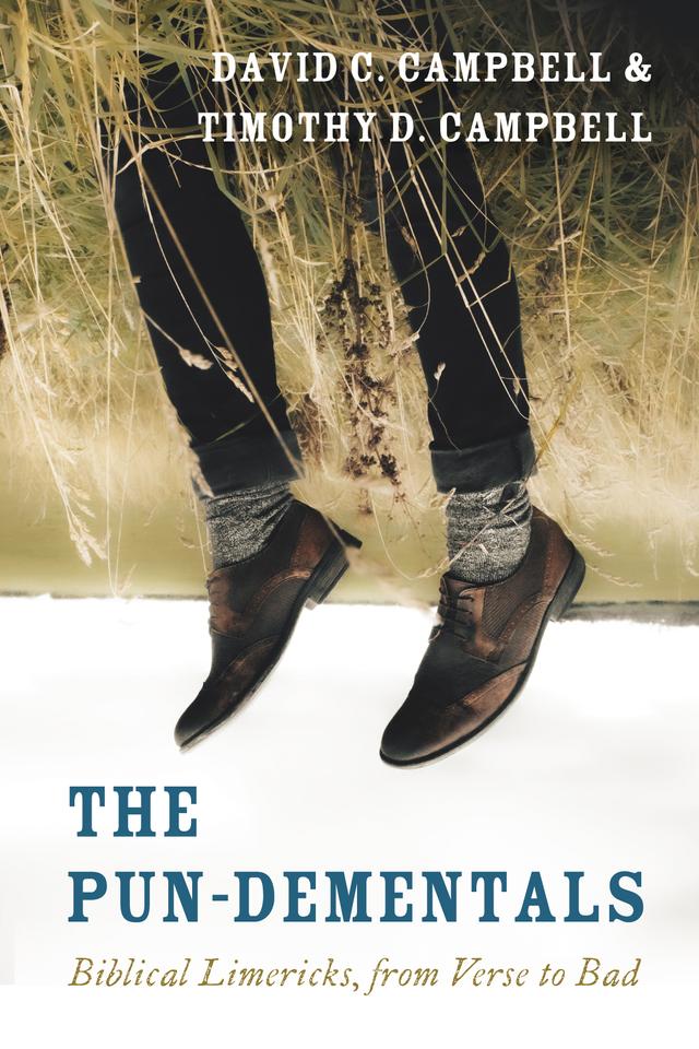 The Pun-Dementals by David C. Campbell, Timothy D. Campbell