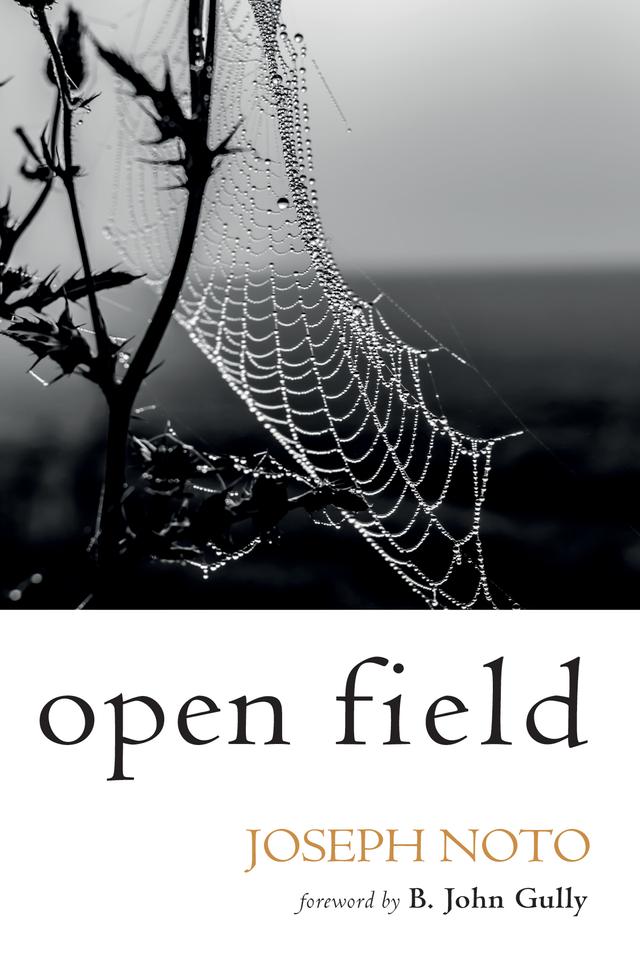 Open Field by B. John Gully, Joseph Noto
