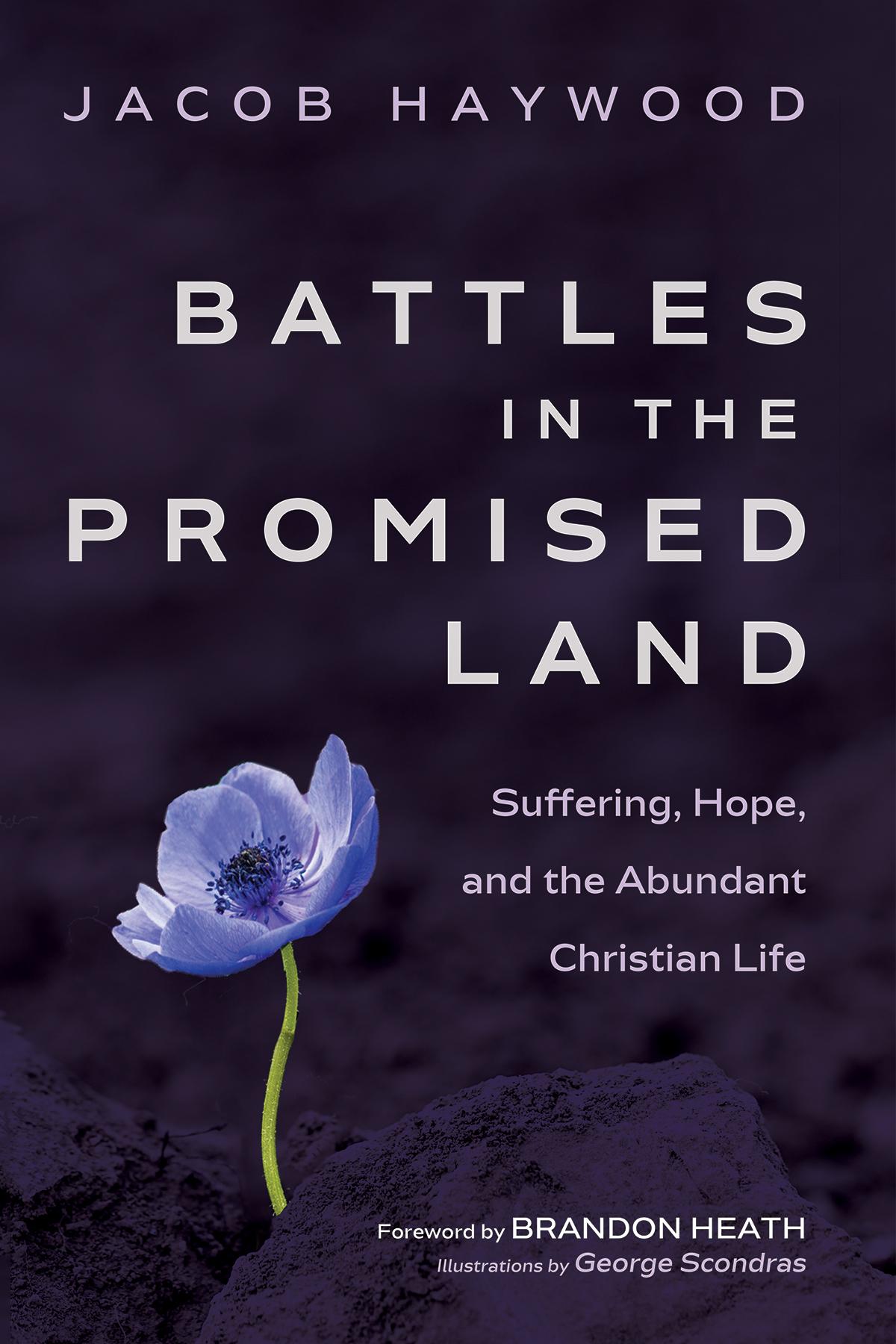 Battles in the Promised Land