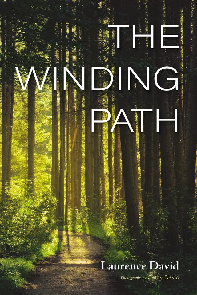 The Winding Path by Cathy David, Laurence David