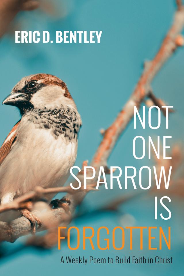 Not One Sparrow Is Forgotten by Eric D. Bentley