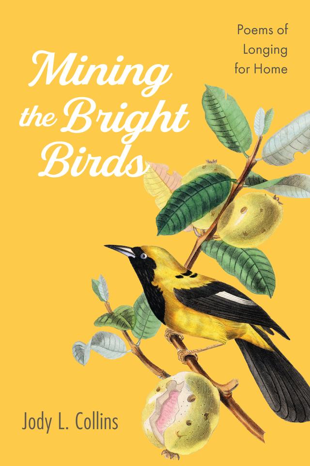 Mining the Bright Birds by Jody L. Collins