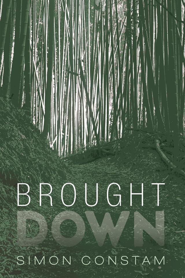 Brought Down by Simon Constam