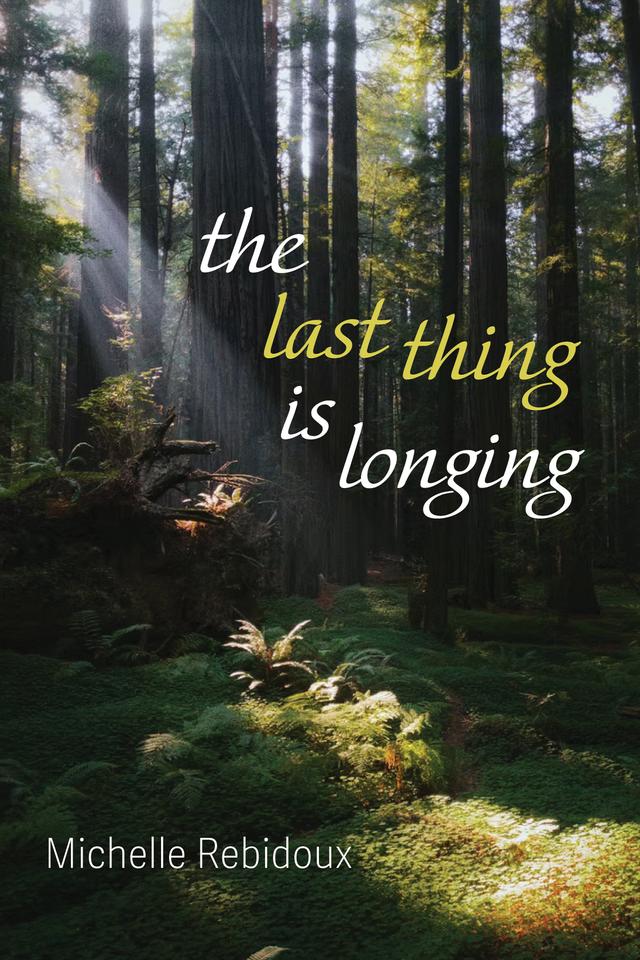The Last Thing Is Longing by Michelle Rebidoux
