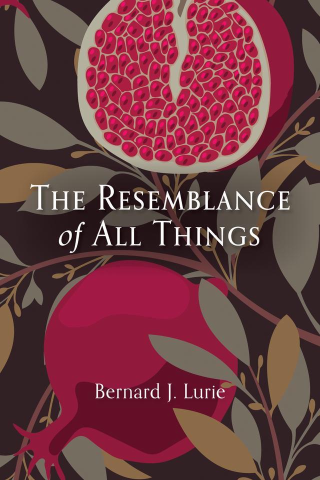 The Resemblance of All Things by Bernard J. Lurie, Fred Lurie