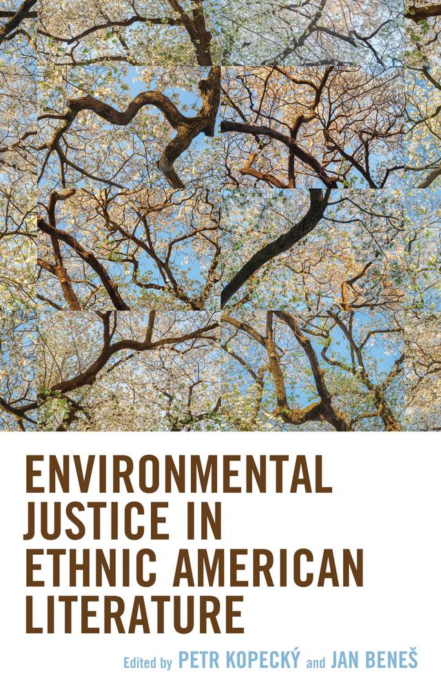 Environmental Justice in Ethnic American Literature by Denisa Krásná, Jan Beneš, Martina Horáková, Miroslav Cerný, Parisa Changizi, Petr Kopecký, Stanislav Kolár
