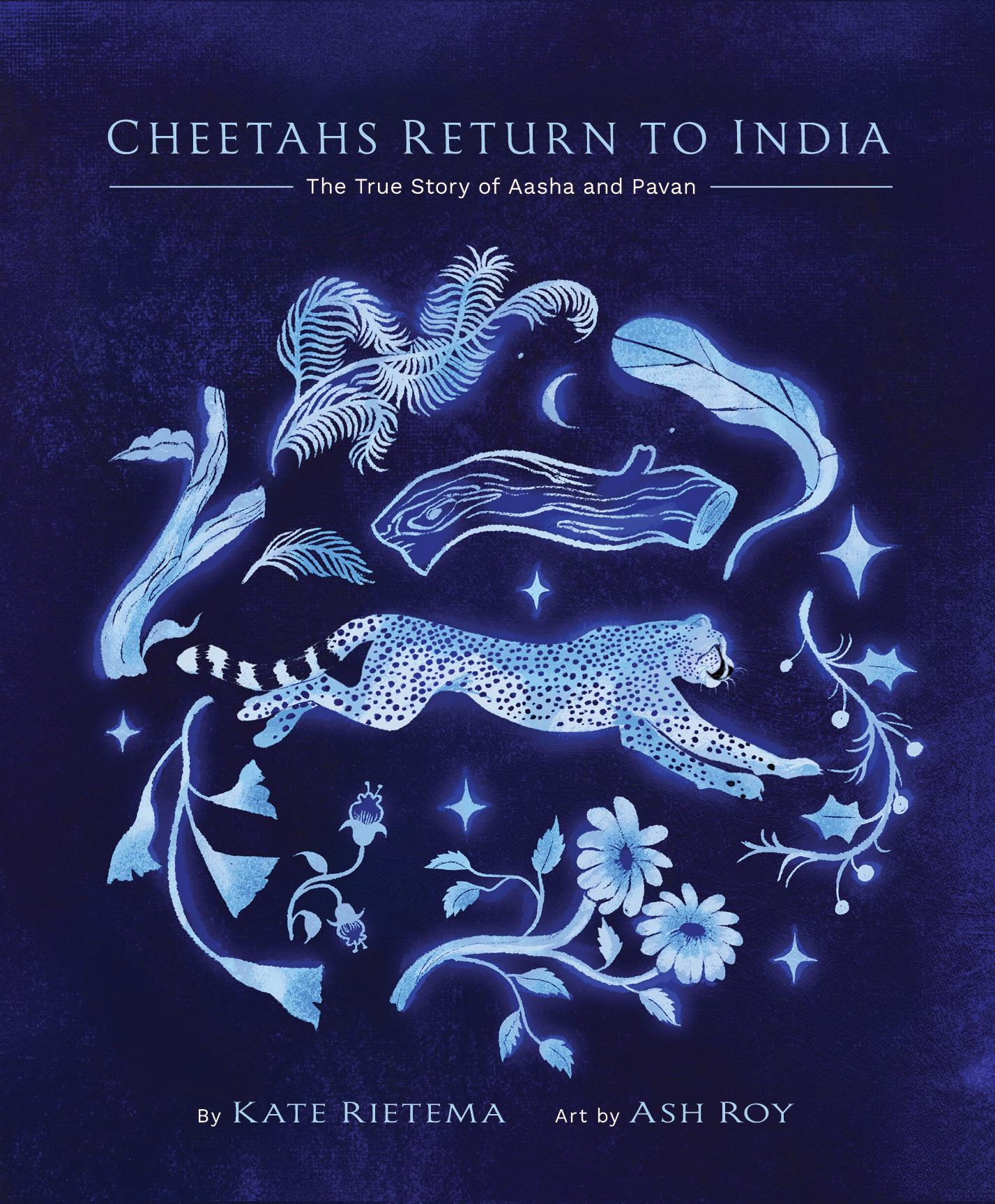 Cheetahs Return to India