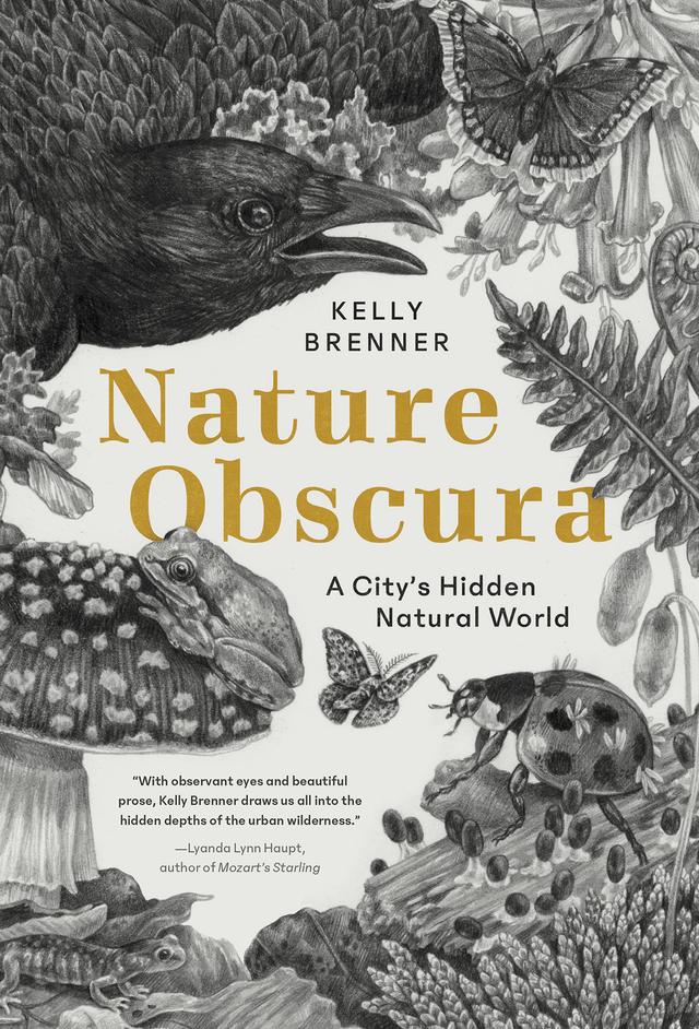 Nature Obscura by Kelly Brenner