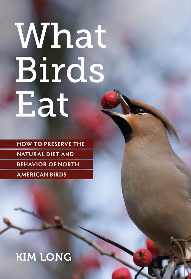 What Birds Eat by 