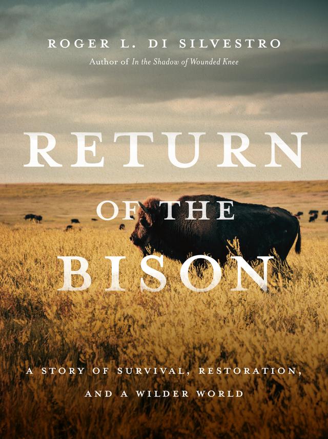 Return of the Bison by Roger Di Silvestro