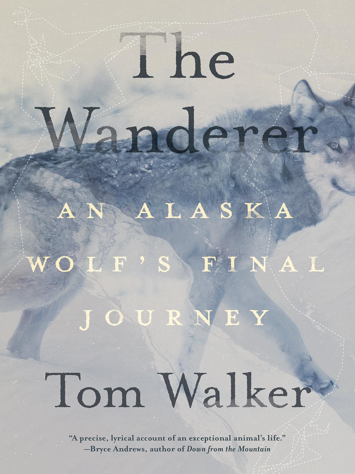 The Wanderer