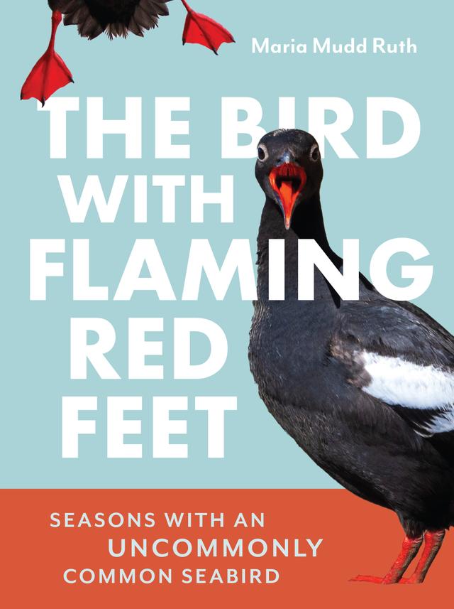 The Bird with Flaming Red Feet by Maria Mudd Ruth