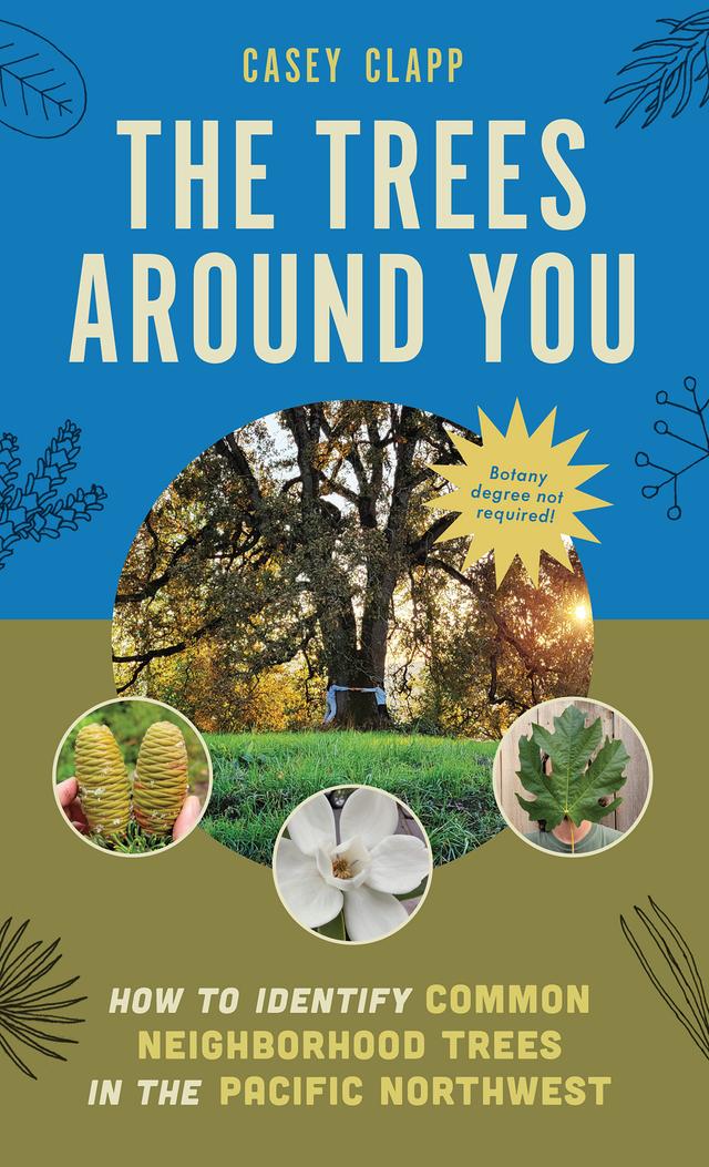 The Trees Around You by Casey Clapp