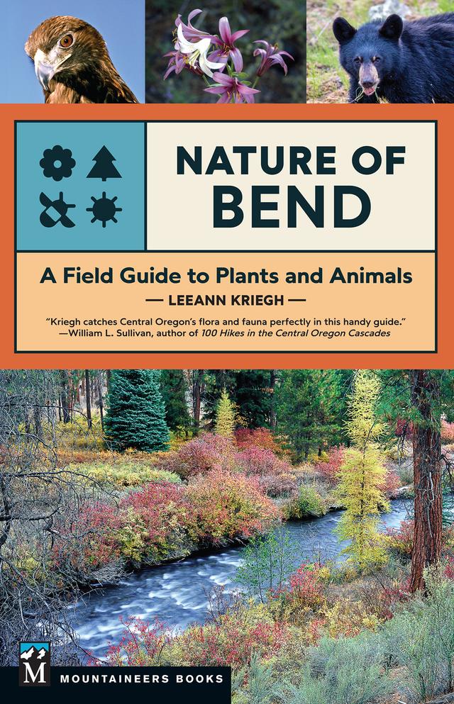 Nature of Bend by LeeAnn Kriegh