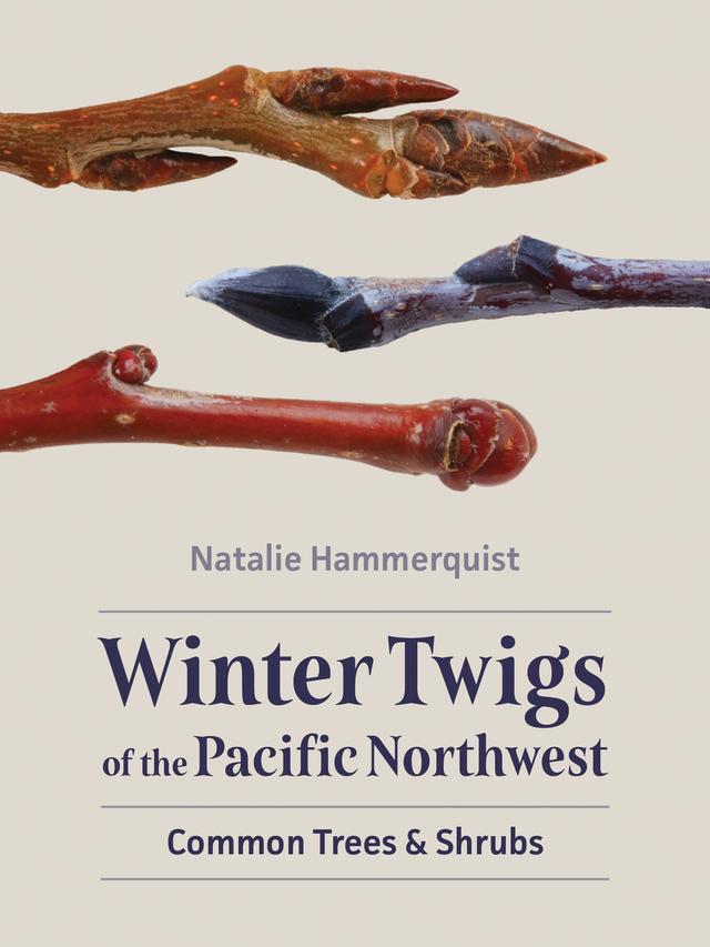 Winter Twigs of the Pacific Northwest by Natalie Hammerquist