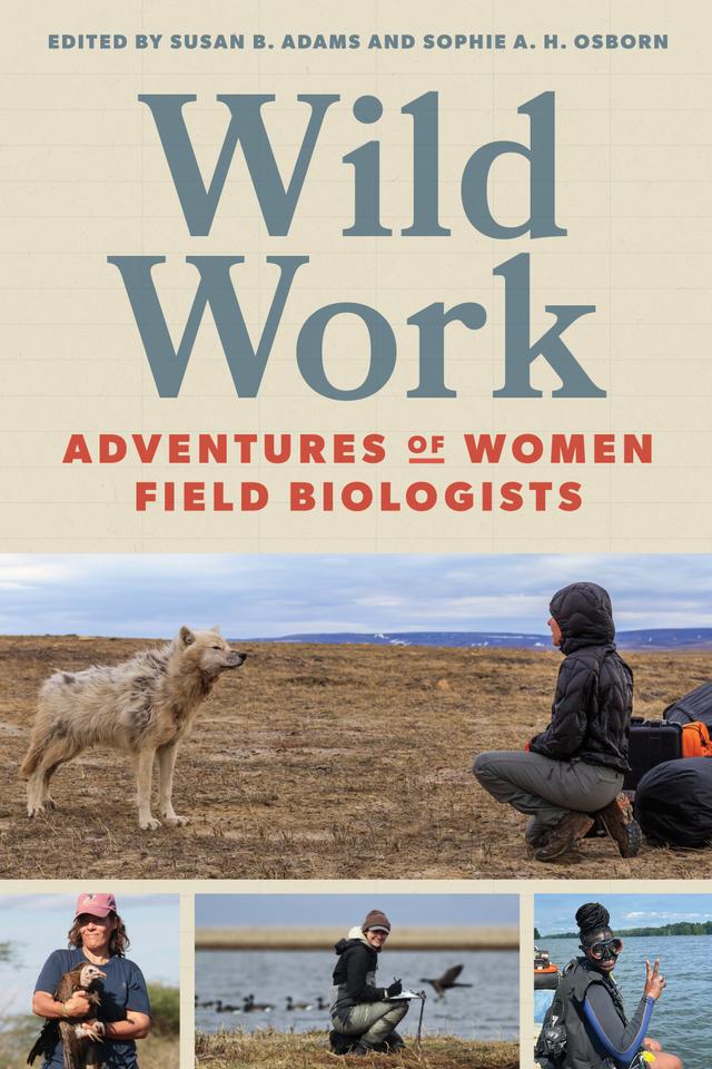 Wild Work by Sophie A. H. Osborn, Susan B. Adams