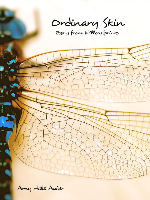 Ordinary Skin by Amy Hale Auker