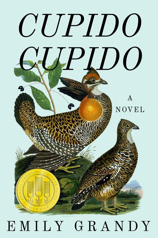 Cupido Cupido by Emily Grandy