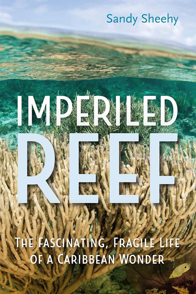 Imperiled Reef by Sandy Sheehy