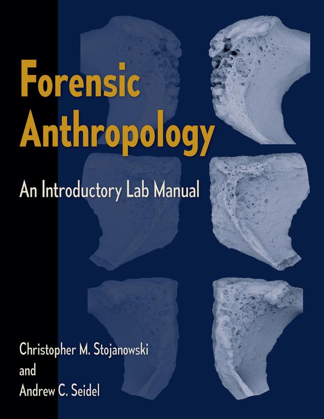 Forensic Anthropology by Andrew C. Seidel, Christopher M. Stojanowski and Andrew C. Seidel