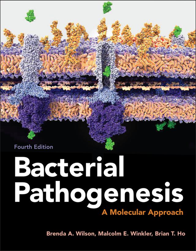 Bacterial Pathogenesis by Brenda A. Wilson, Brian T. Ho, Malcolm Winkler