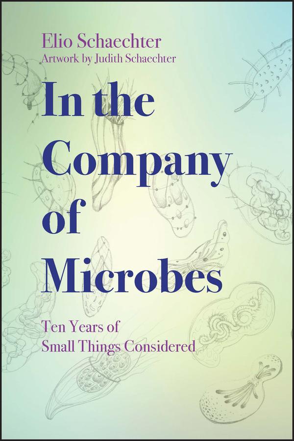 In the Company of Microbes by Judith Schaechter, Moselio Schaechter