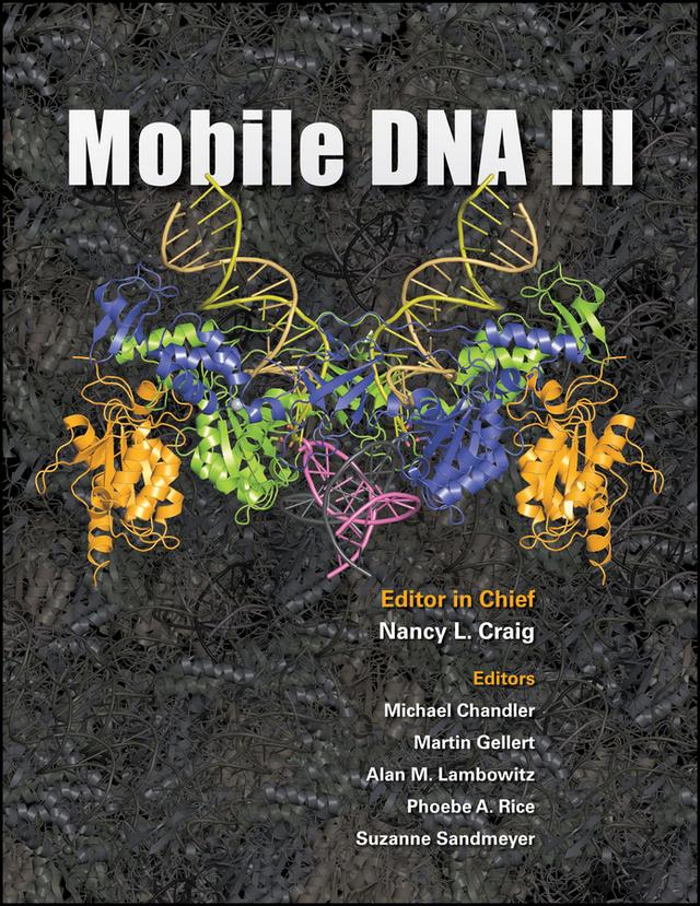 Mobile DNA III by Alan M. Lambowitz, Martin Gellert, Michael Chandler, Nancy L. Craig, Phoebe A. Rice, Suzanne B. Sandmeyer
