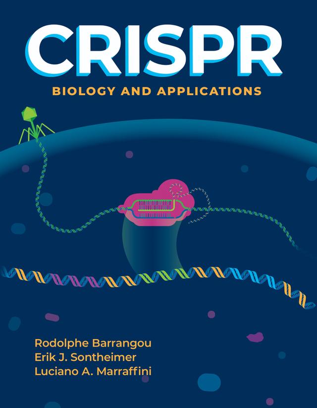 CRISPR by Erik J. Sontheimer, Luciano A. Marraffini, Rodolphe Barrangou