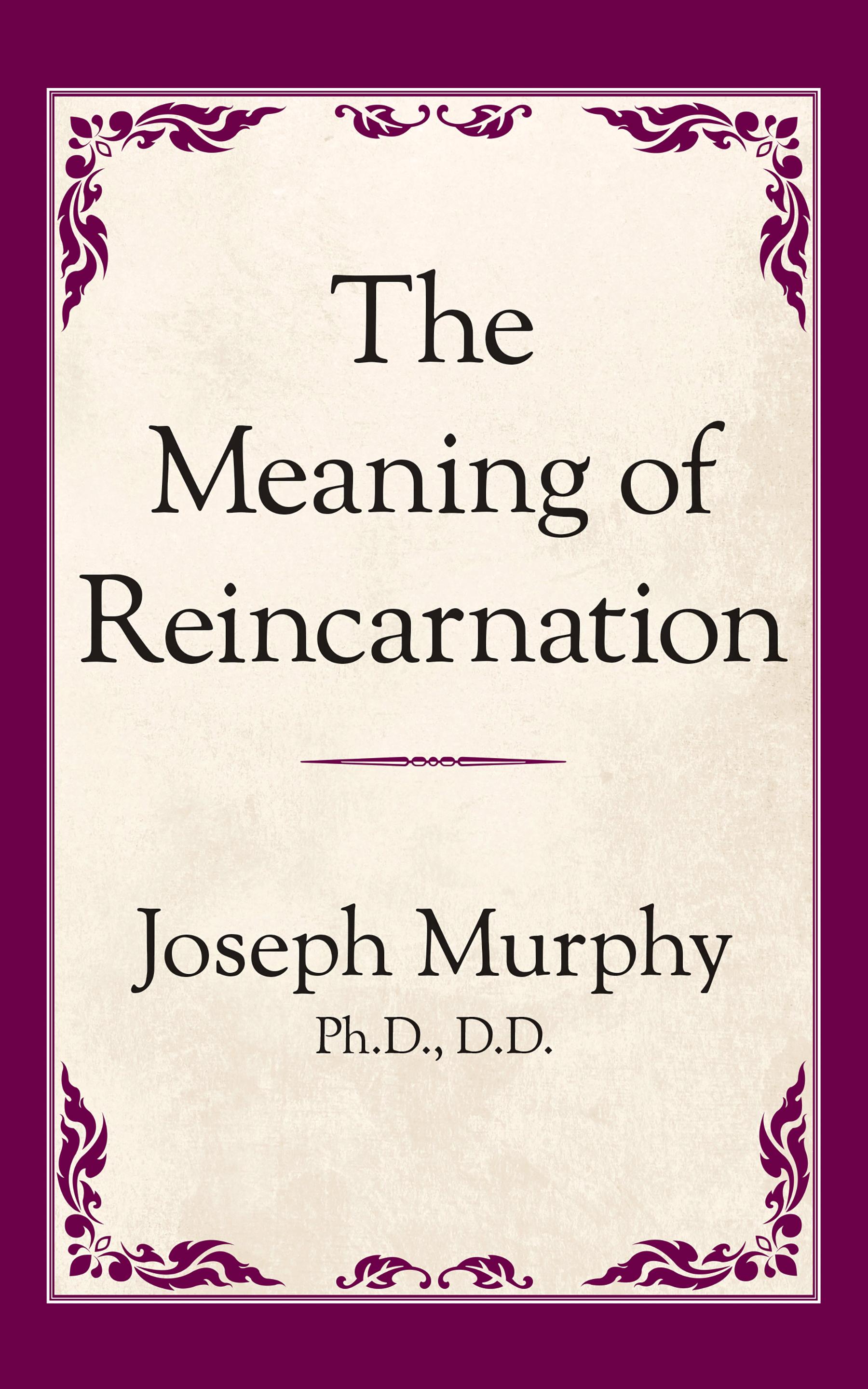 The Meaning of Reincarnation