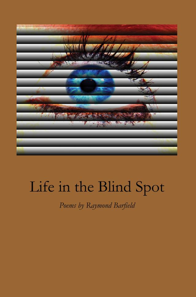 Life in the Blind Spot by Raymond Barfield