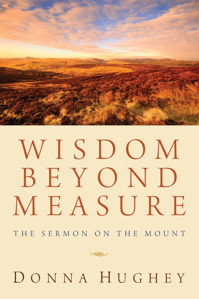 Wisdom Beyond Measure by Donna Hughey
