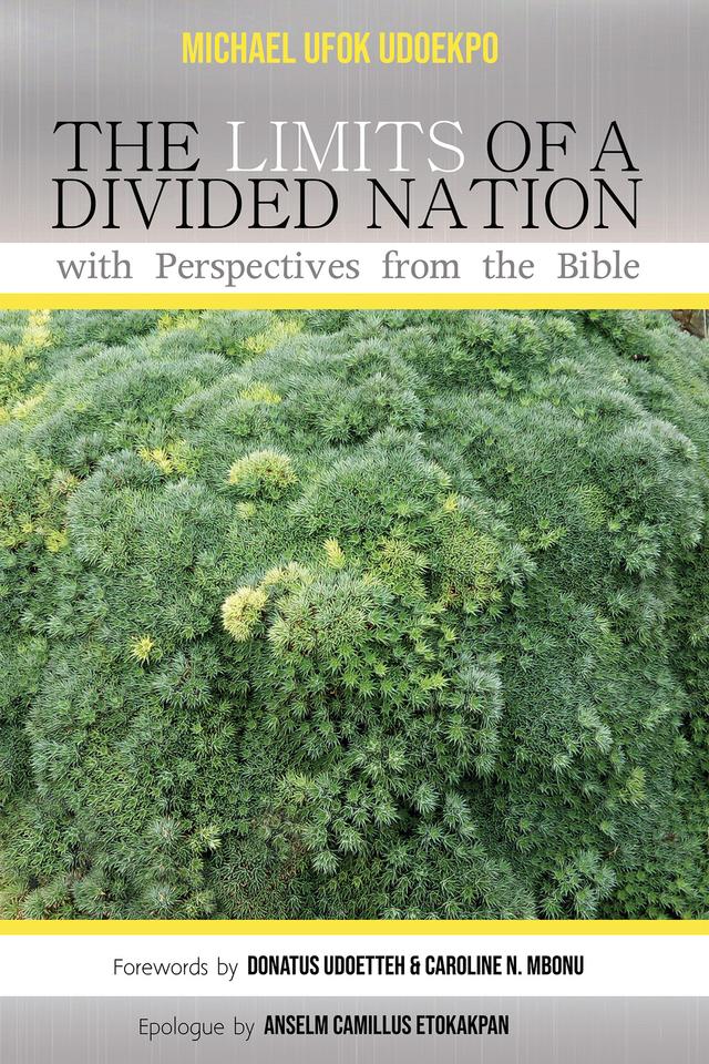 The Limits of a Divided Nation with Perspectives from the Bible by Anselm Camillus Etokakpan, Caroline N. Mbonu, Donatus Udoette, Michael Ufok Udoekpo