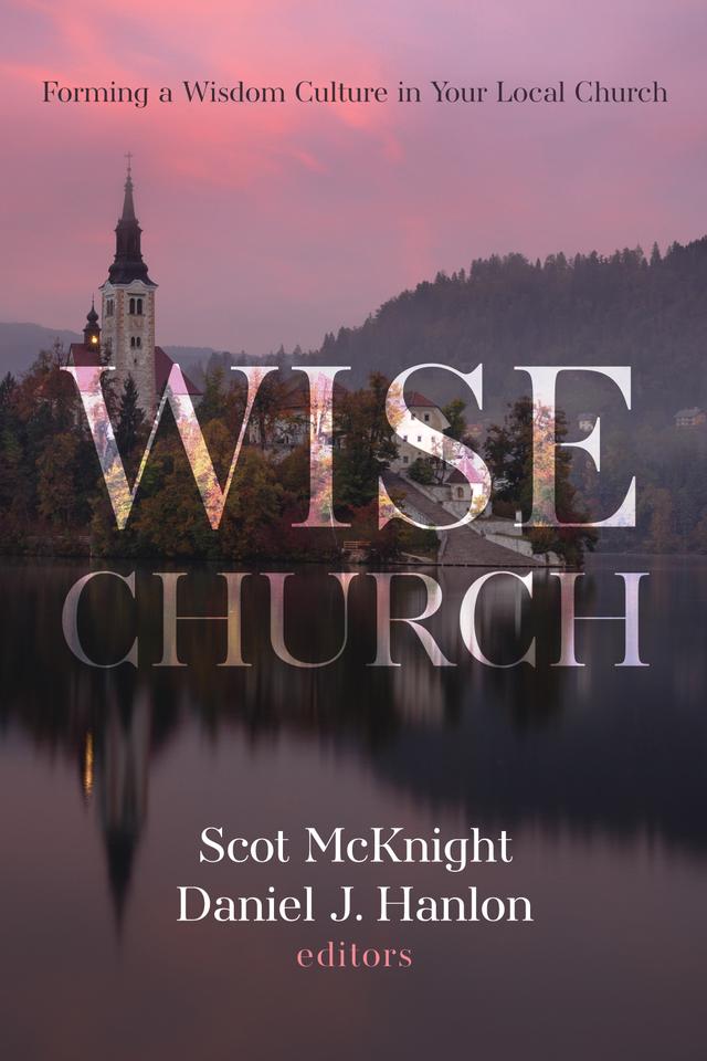 Wise Church by Daniel J. Hanlon, Scot McKnight