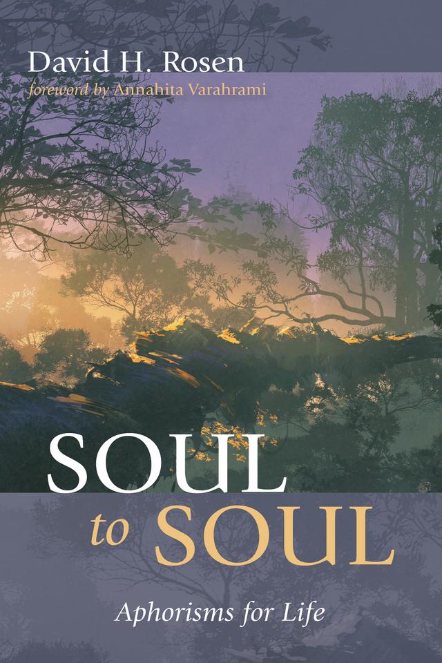 Soul to Soul by Annahita Varahrami, David H. Rosen
