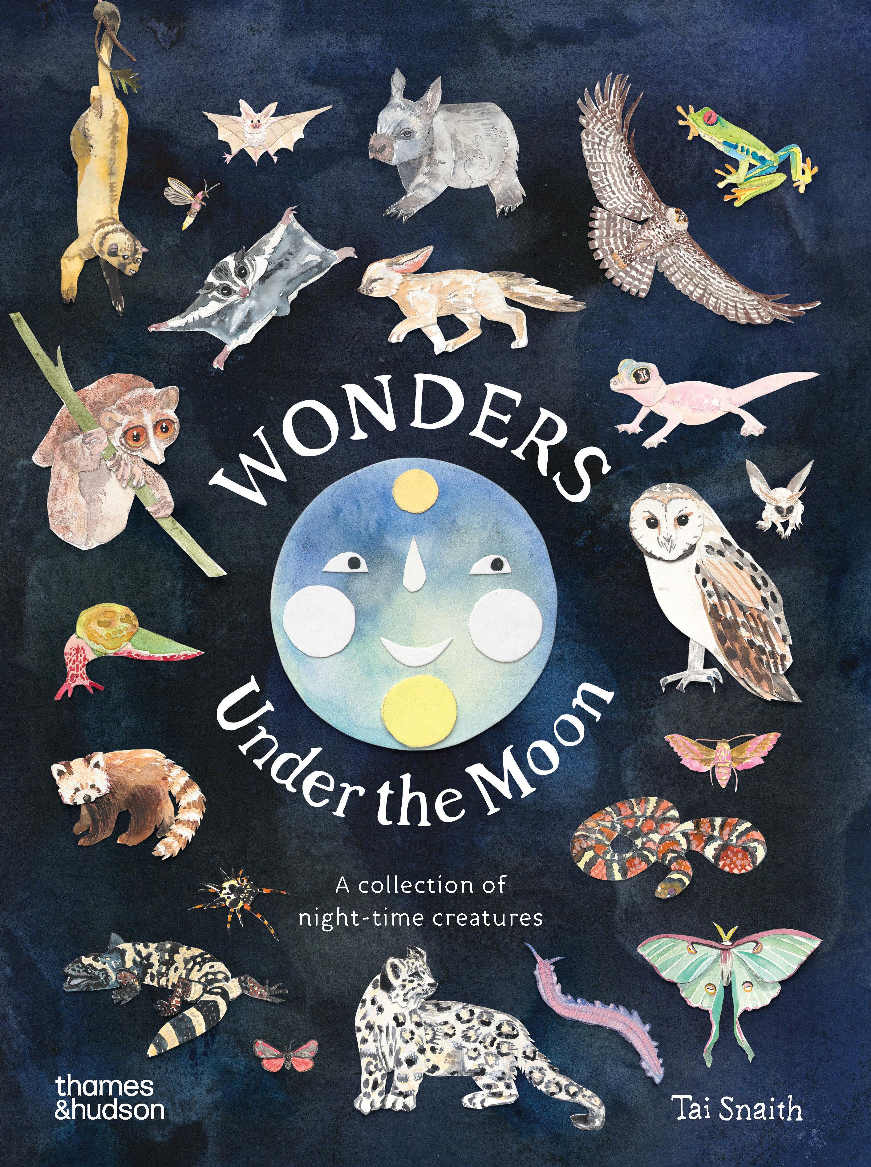 Wonders Under the Moon