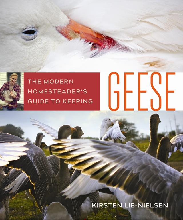 The Modern Homesteader's Guide to Keeping Geese by Kirsten Lie-Nielsen