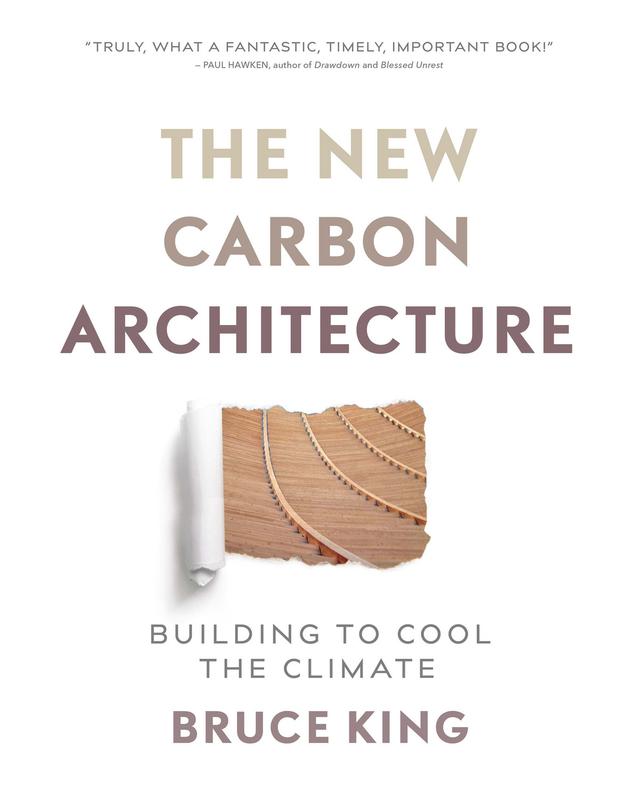 The New Carbon Architecture by Bruce King