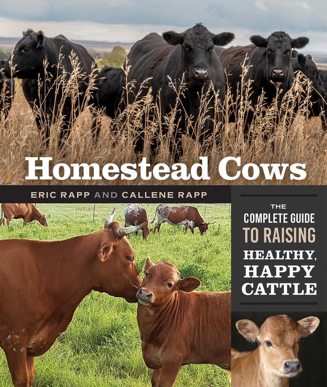 Homestead Cows by Callene Rapp, Eric Rapp