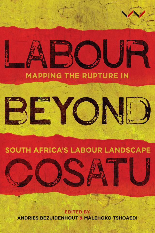 Labour Beyond Cosatu by Andries Bezuidenhout, Christine Bischoff, Malehoko Tshoaedi