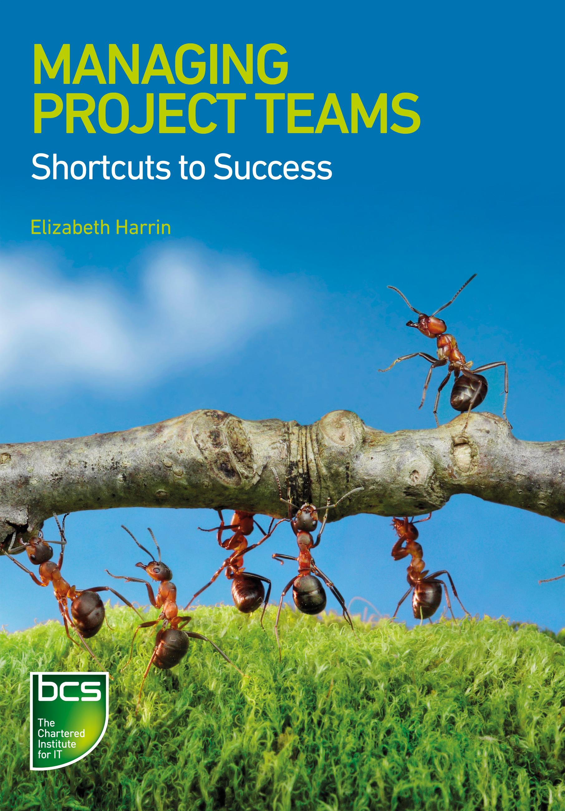 Managing Project Teams