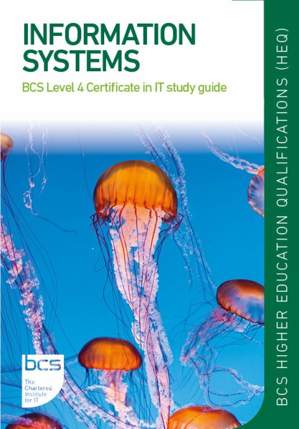 Information Systems by Ian Huke, Stephen Mariadas