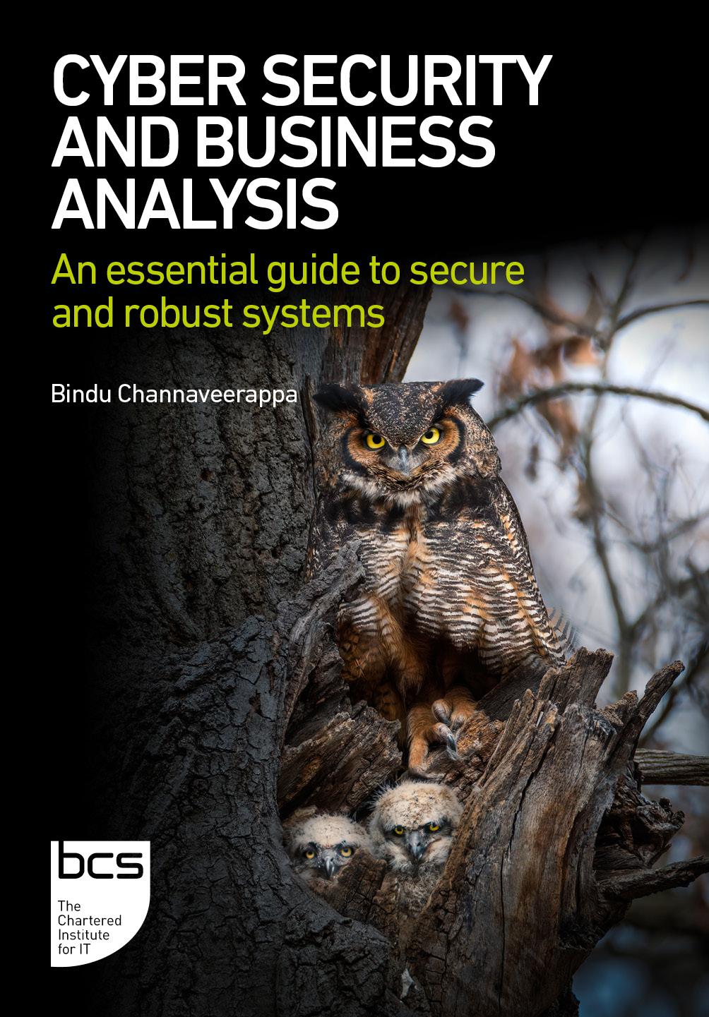 Cyber Security and Business Analysis