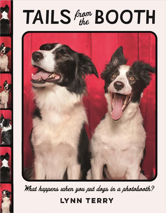 Tails from the Booth by Lynn Terry