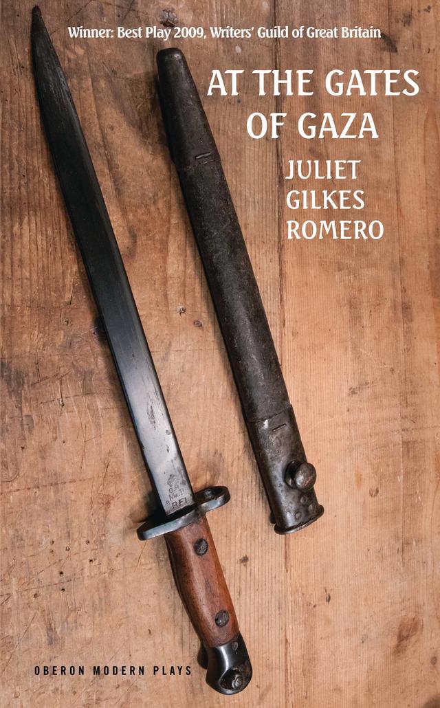 At the Gates of Gaza by Juliet Gilkes Romero