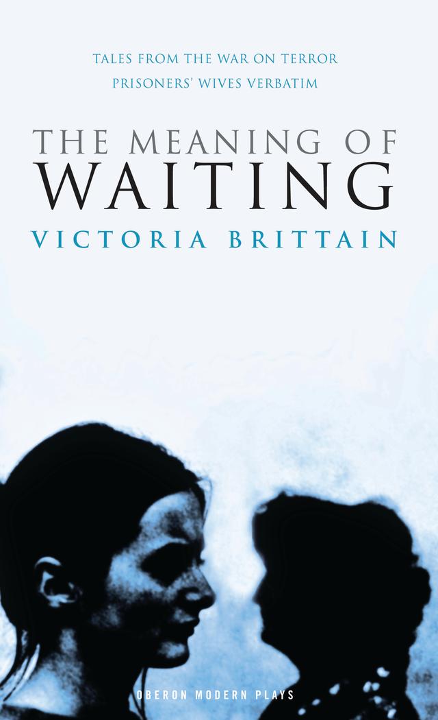 The Meaning of Waiting by Victoria Brittain