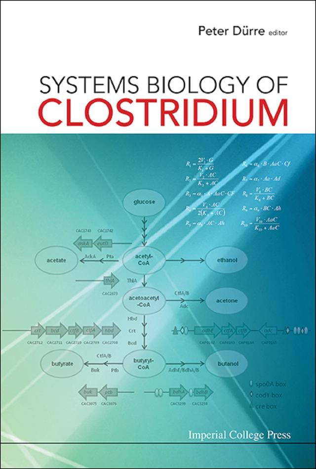 SYSTEMS BIOLOGY OF CLOSTRIDIUM by Peter Durre