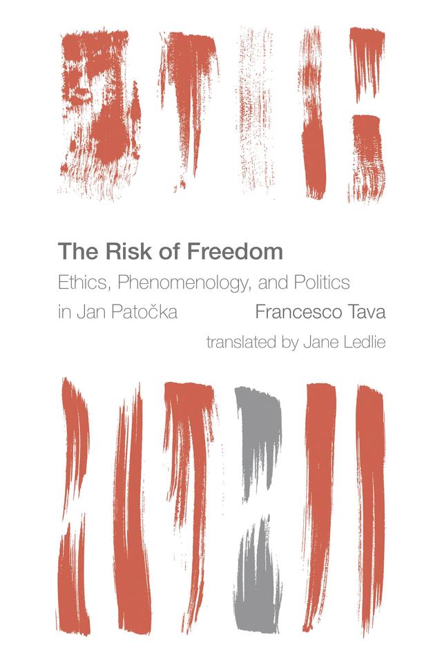 The Risk of Freedom by Francesco Tava, Jane Ledlie