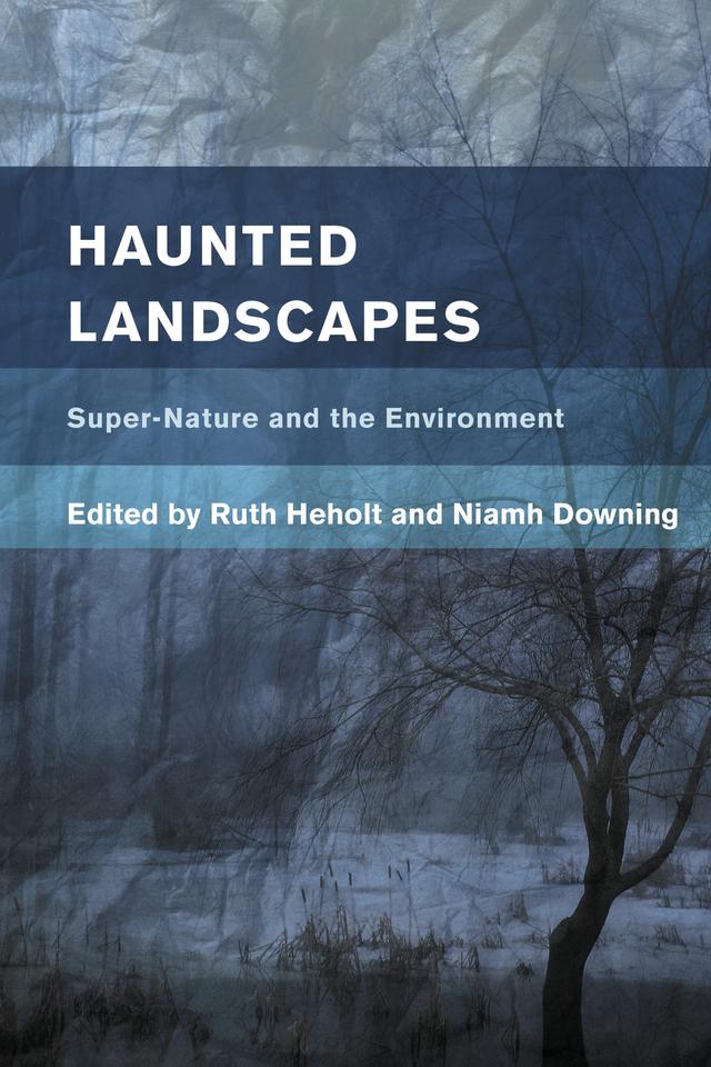 Haunted Landscapes by 